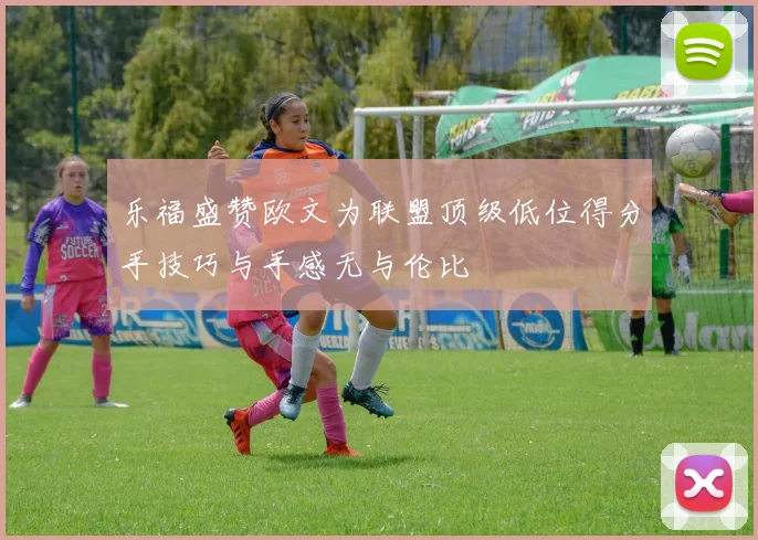 乐福盛赞欧文为联盟顶级低位得分手技巧与手感无与伦比